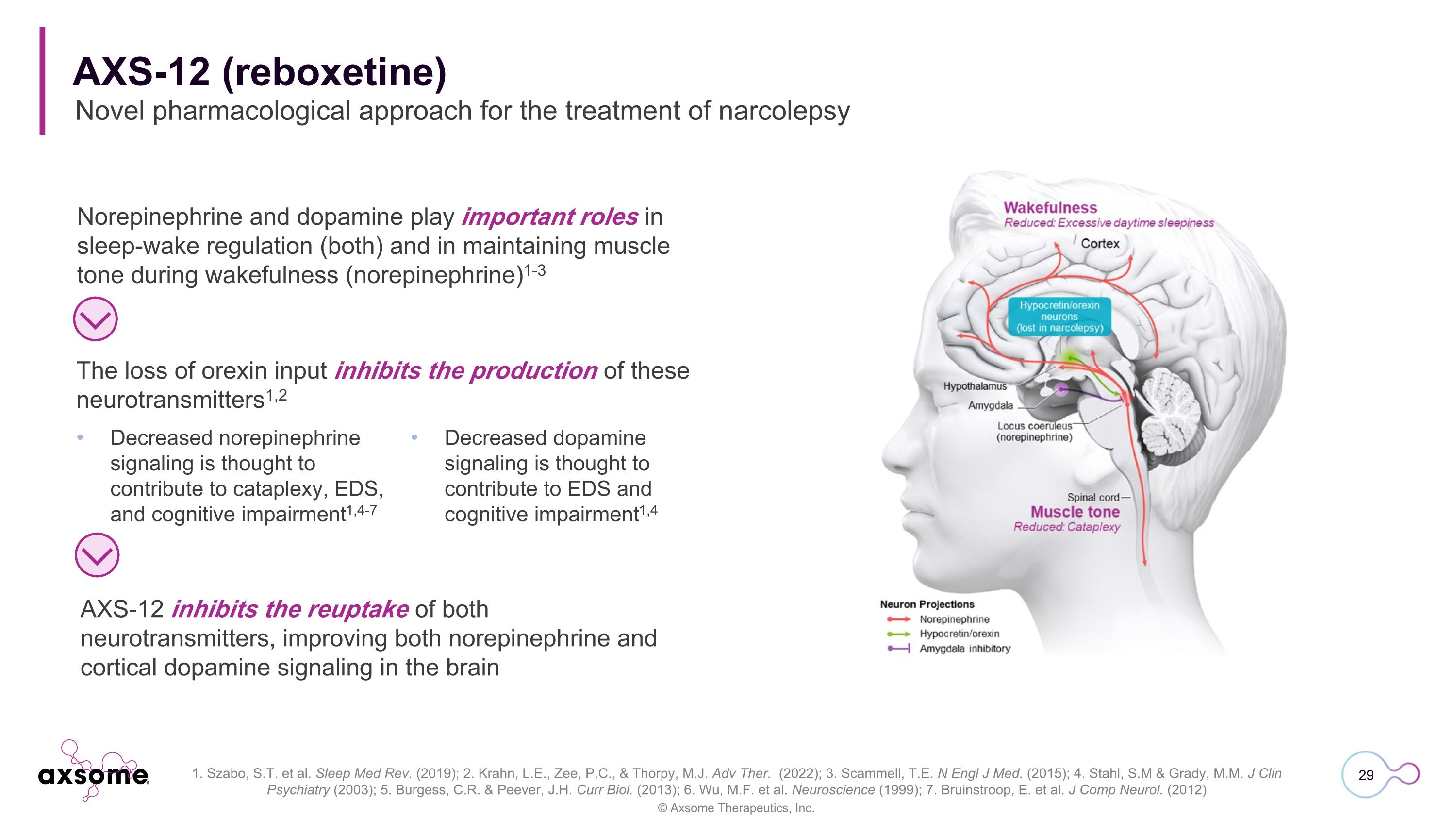 Slide 29