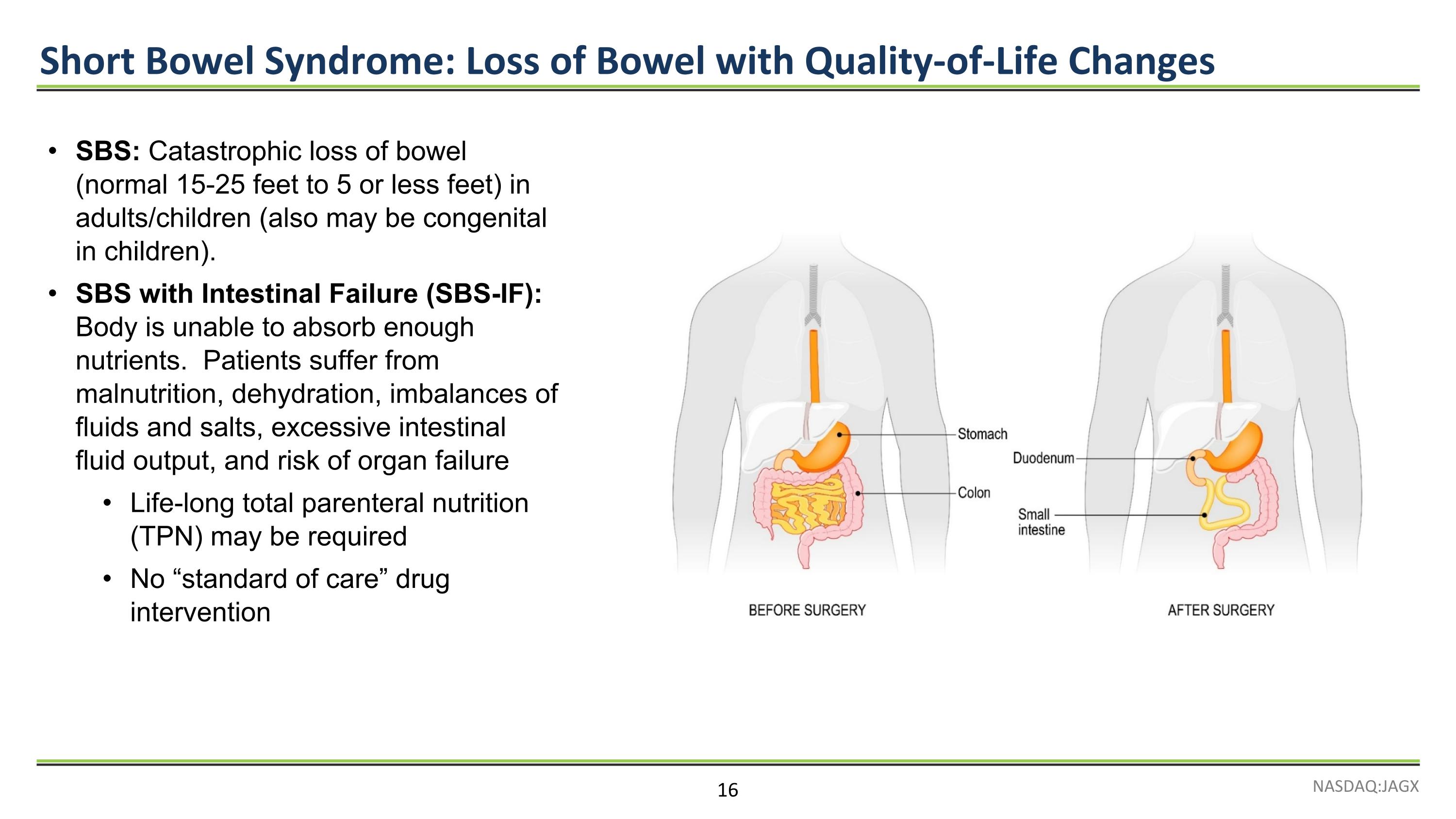 Slide 16