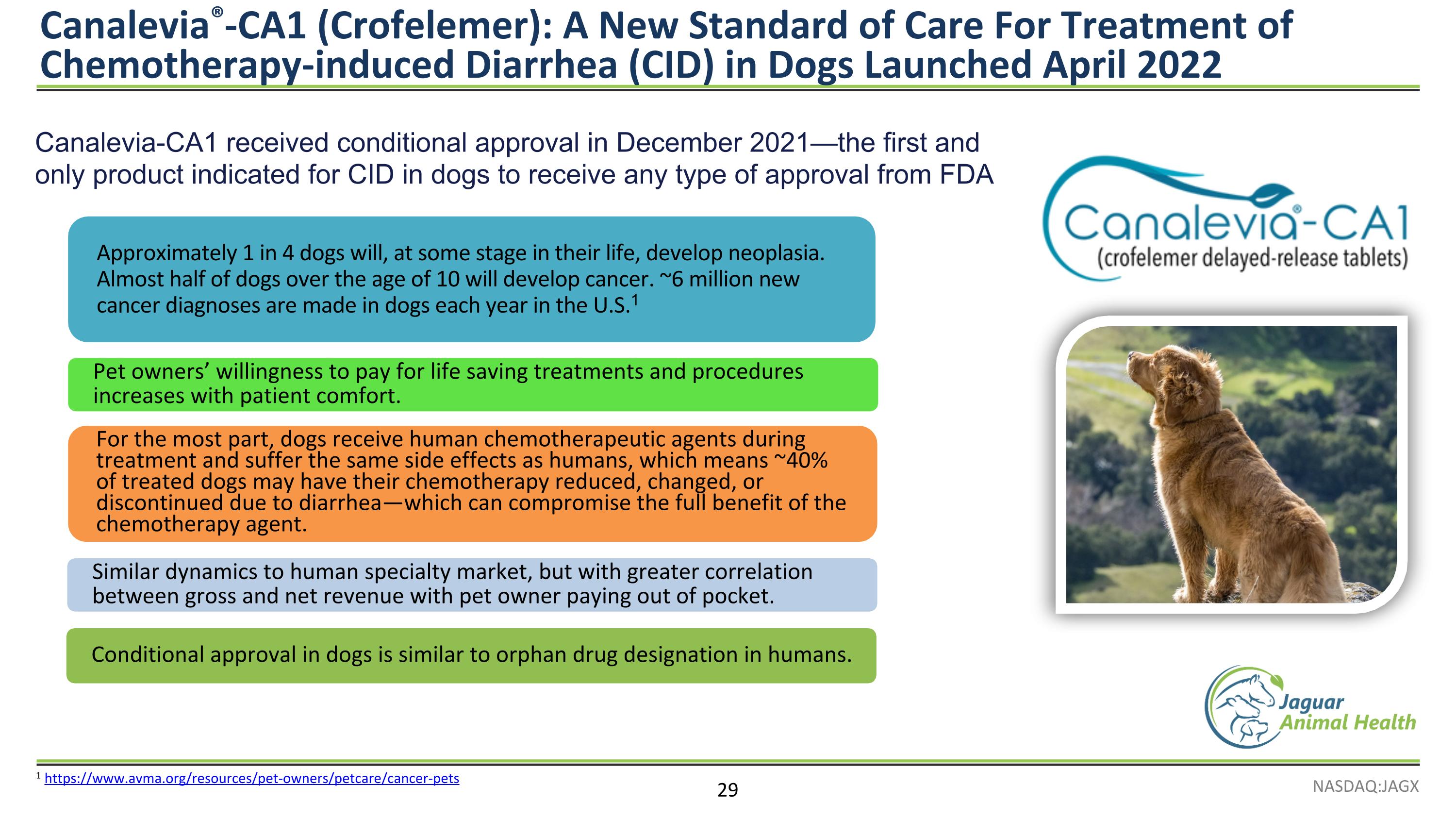 Slide 29