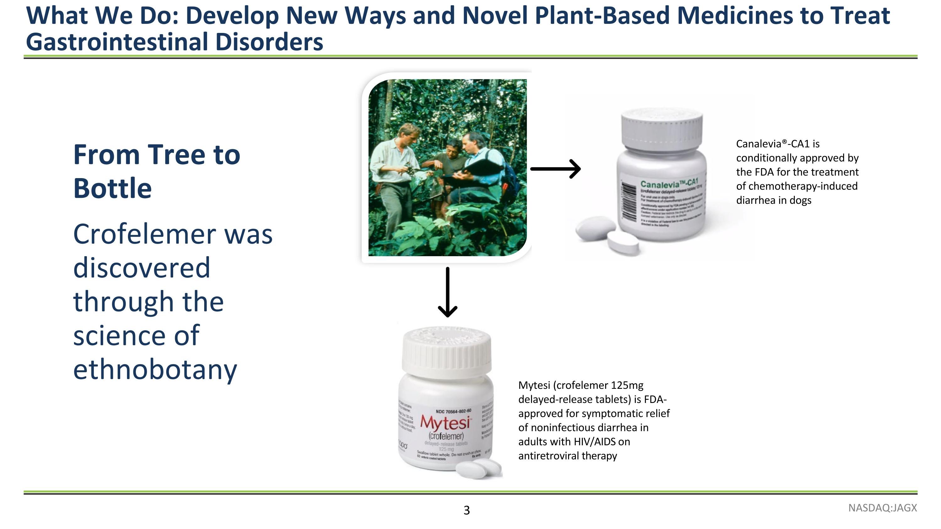 Slide 3