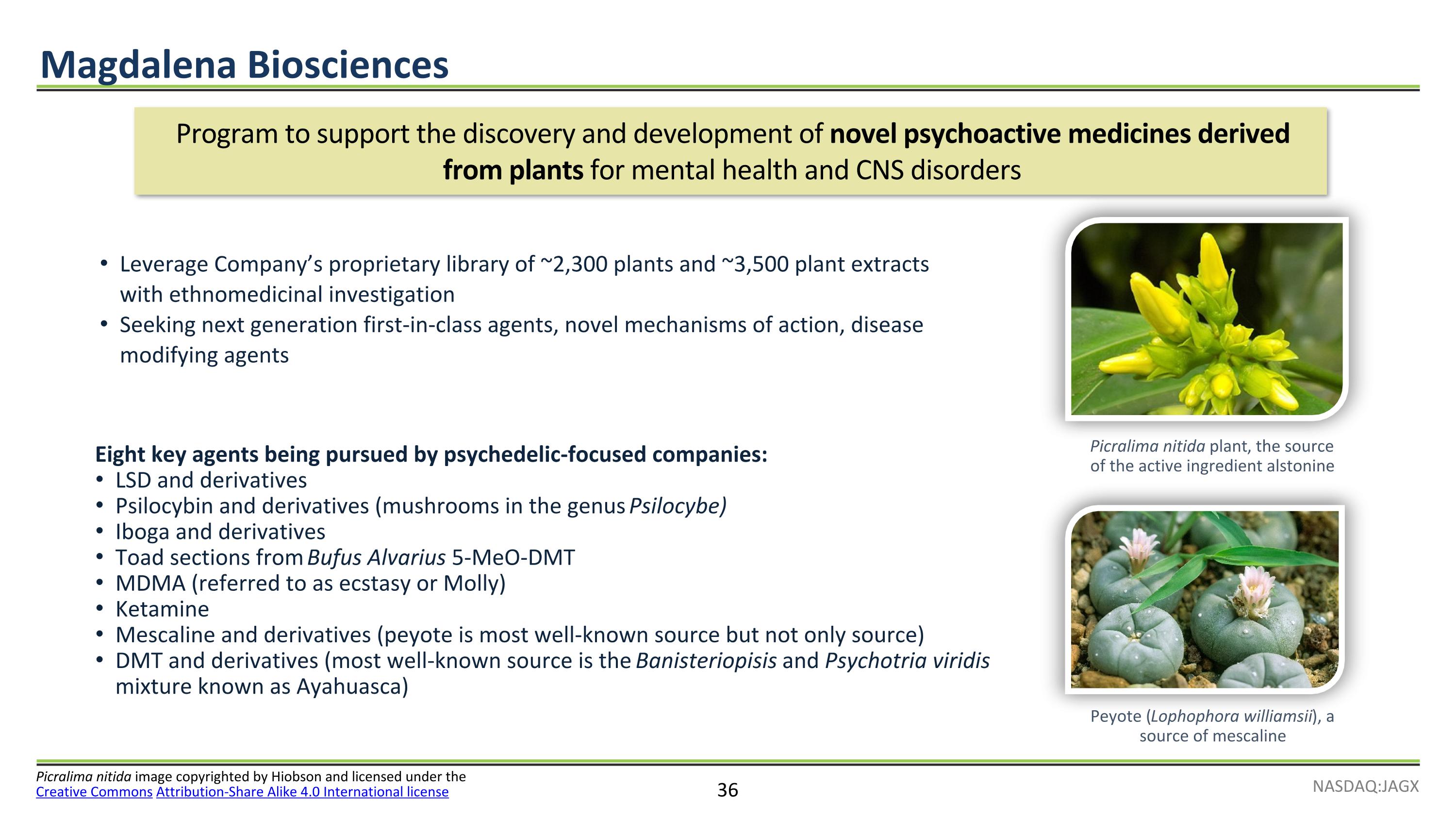 Slide 36
