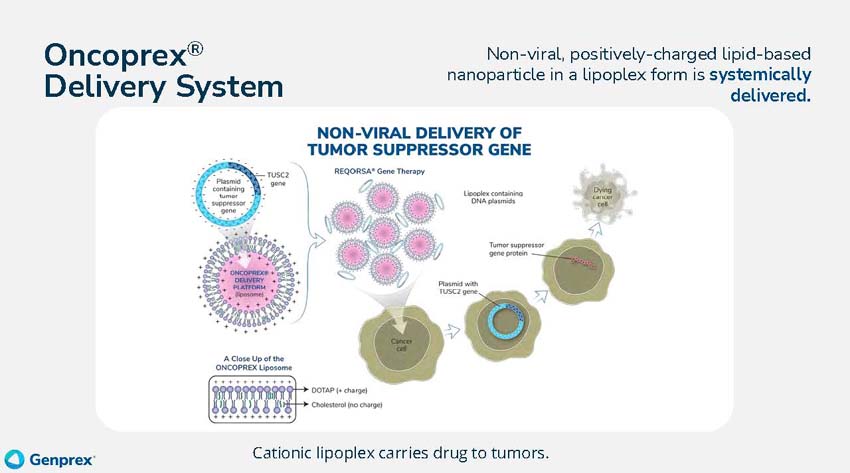 slide_page09.jpg