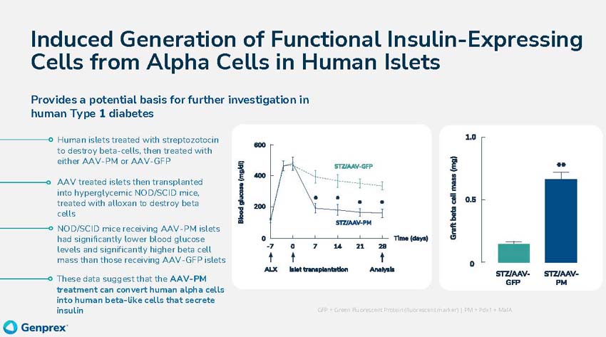 slide_page44.jpg