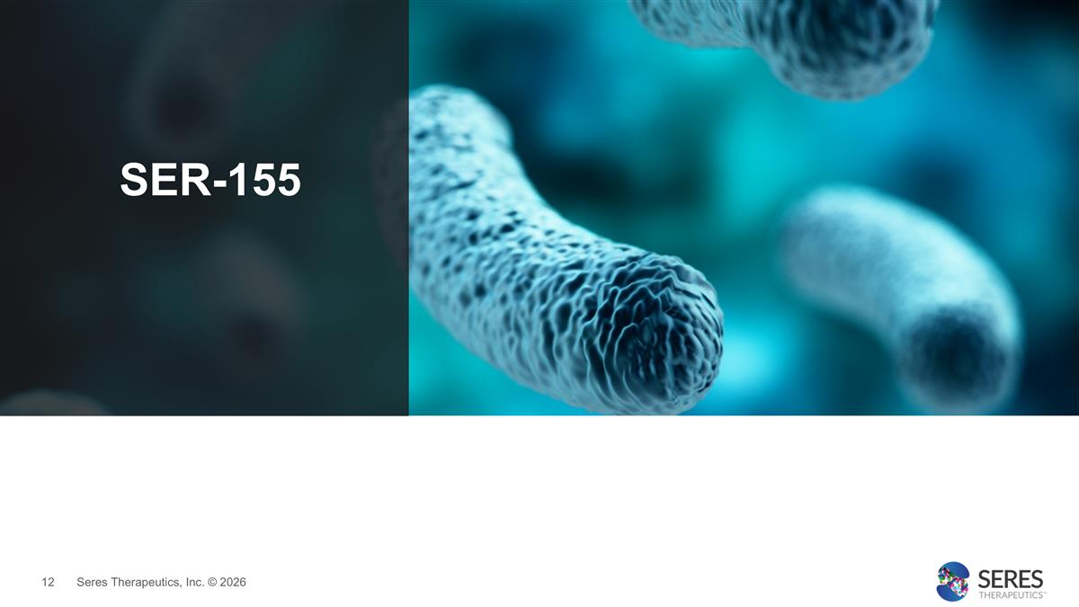 Slide 12