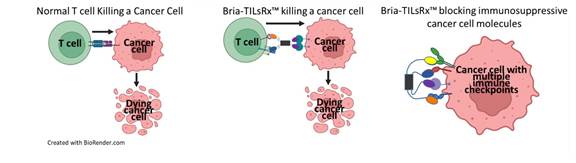 A diagram of cancer cell

Description automatically generated