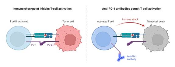 A comparison of cells with text

Description automatically generated with medium confidence