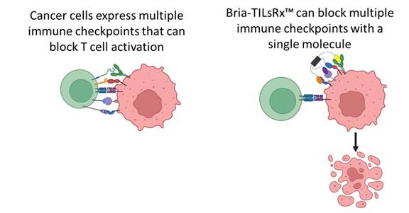 A diagram of a cell

Description automatically generated