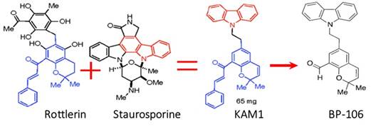 A diagram of a molecule

Description automatically generated