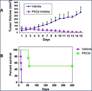 A graph of a cancer patient

Description automatically generated with medium confidence