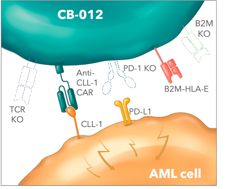 cb-012.jpg