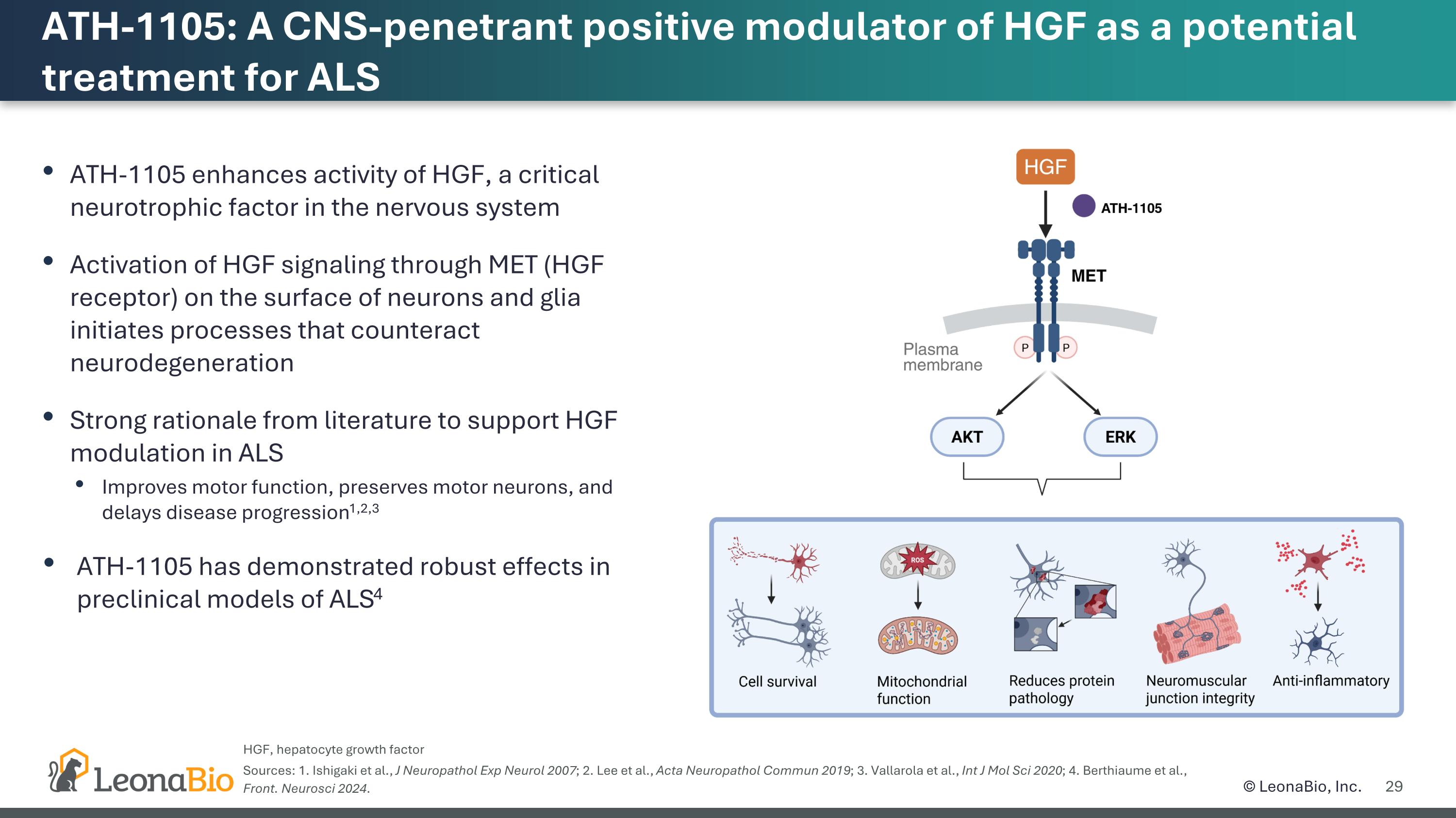 Slide 29