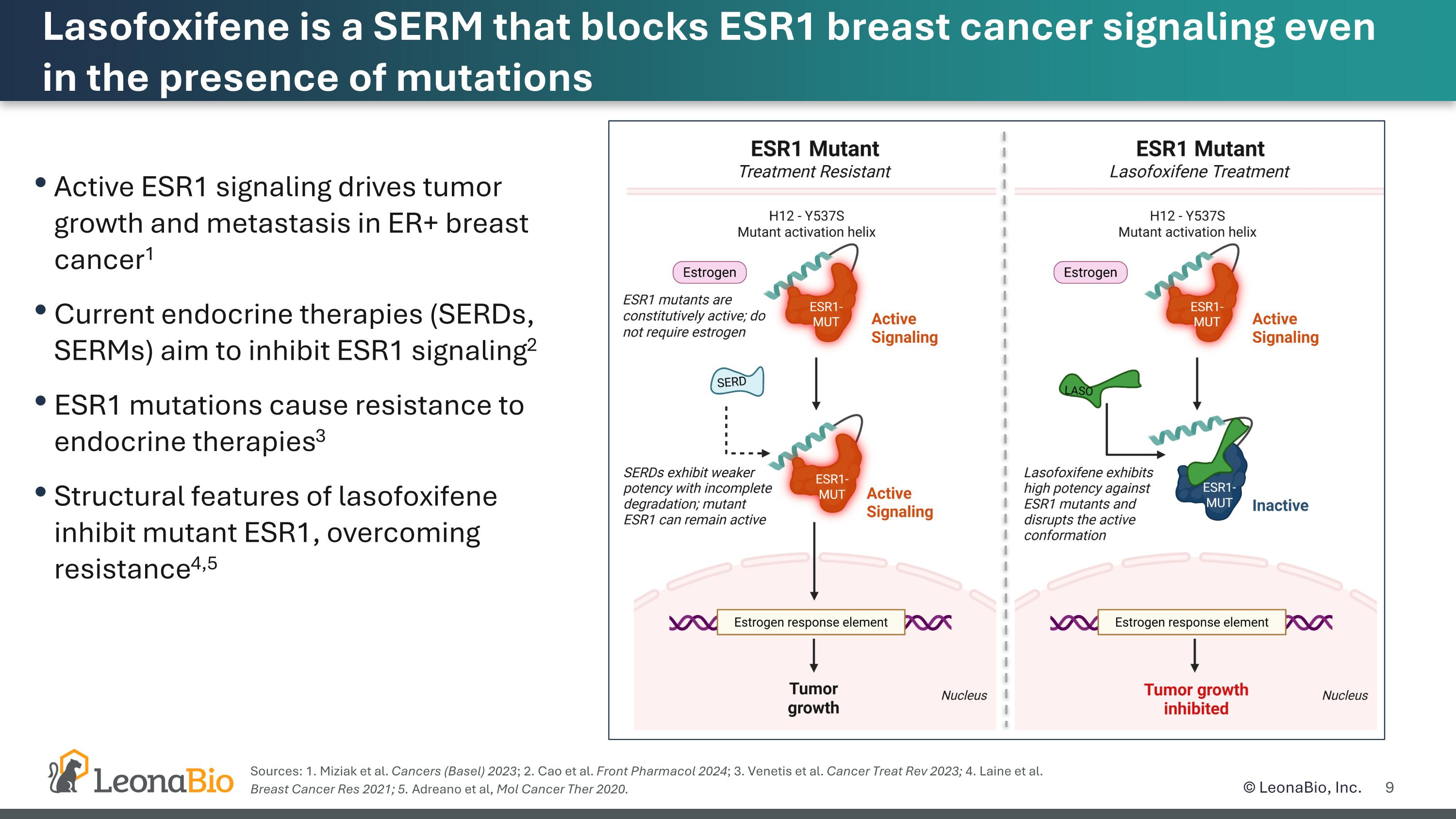 Slide 9
