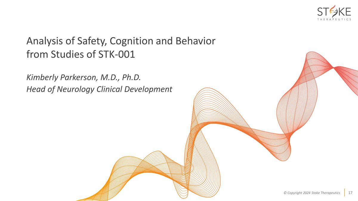 Slide 17