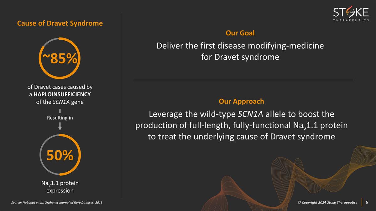 Slide 6