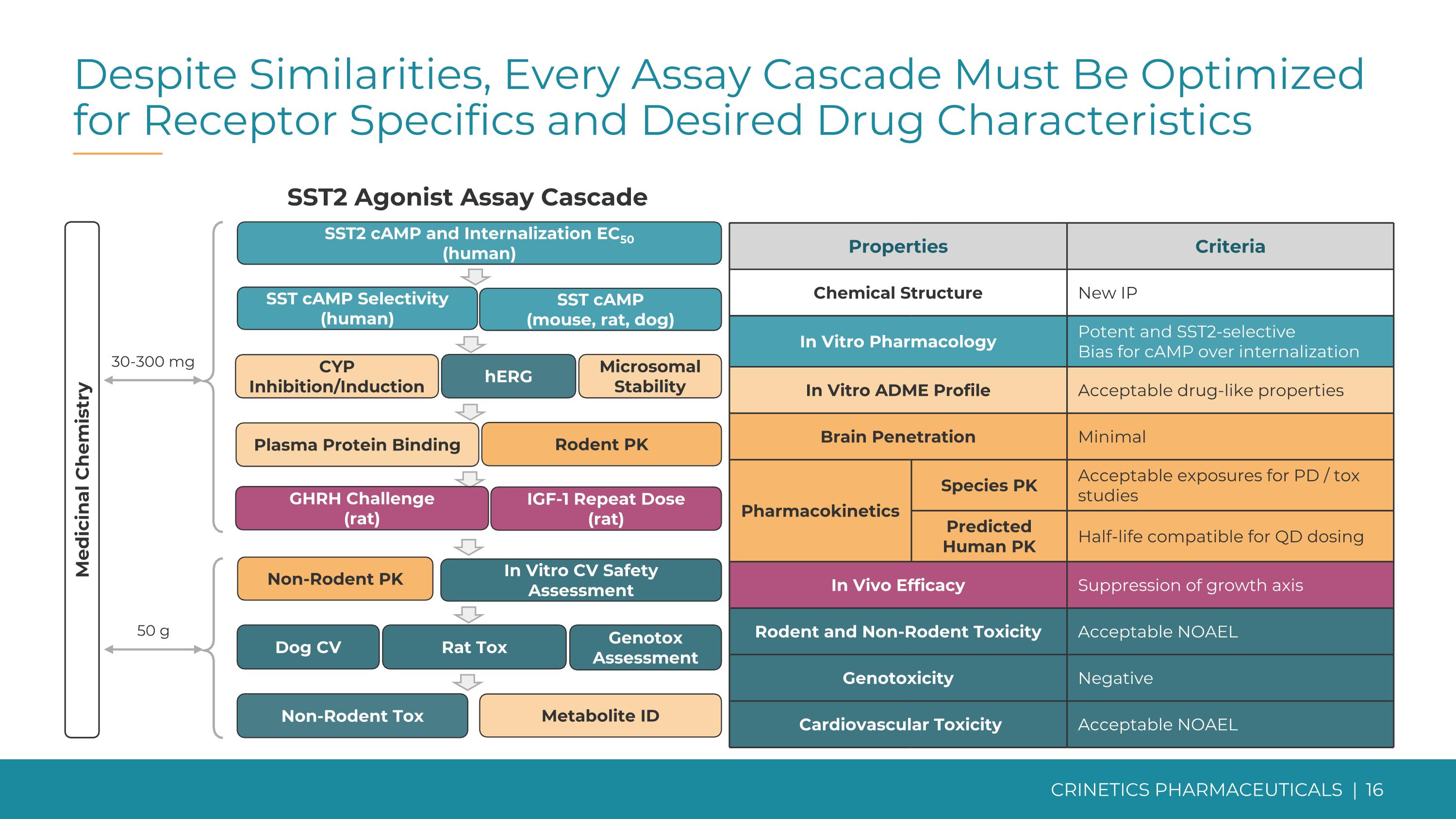 Slide 16