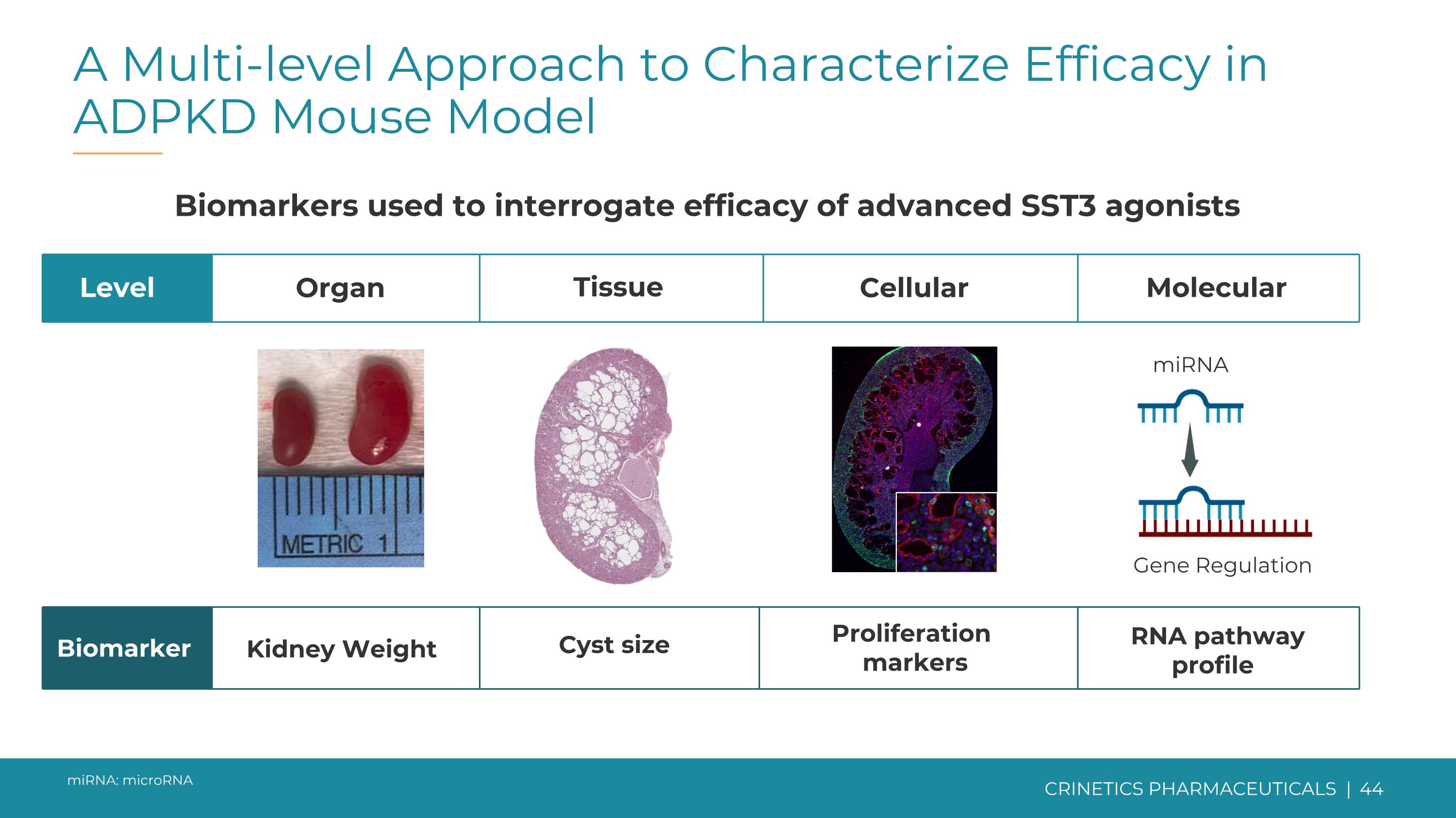 Slide 44