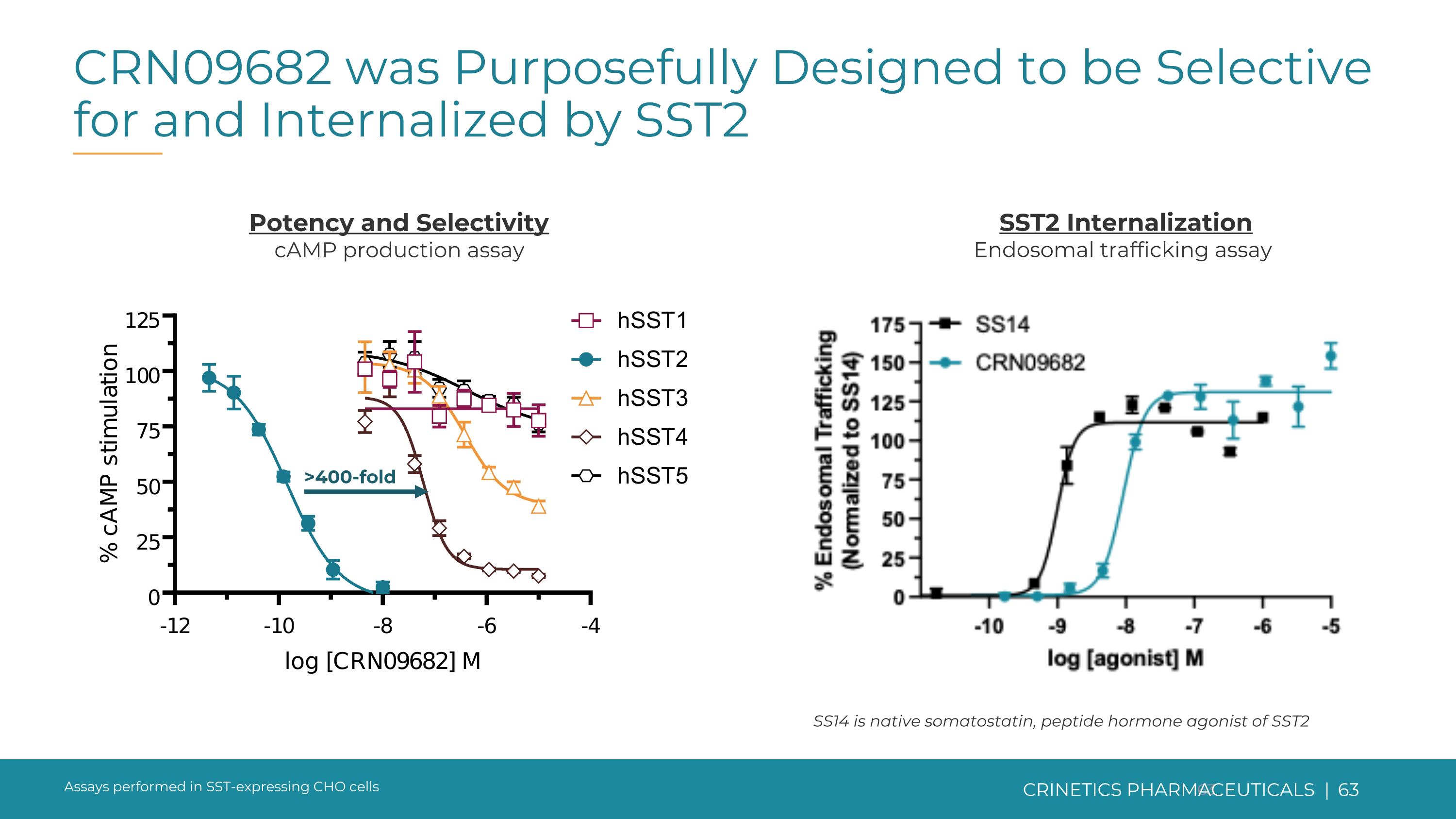 Slide 63
