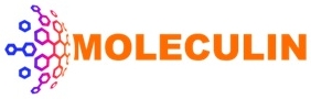 logo01.jpg