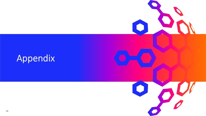 slide29.jpg