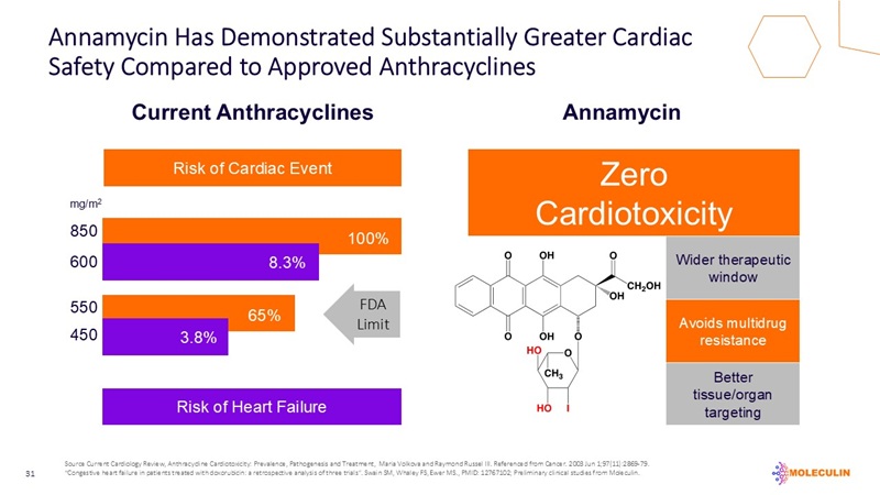 slide31.jpg
