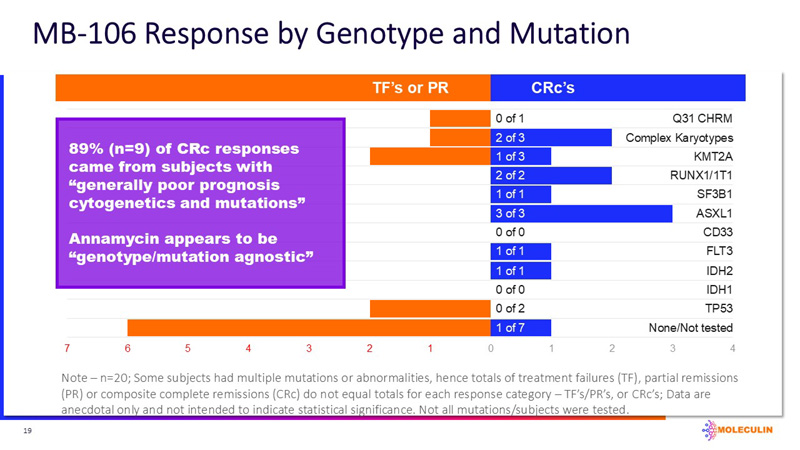 slide19.jpg
