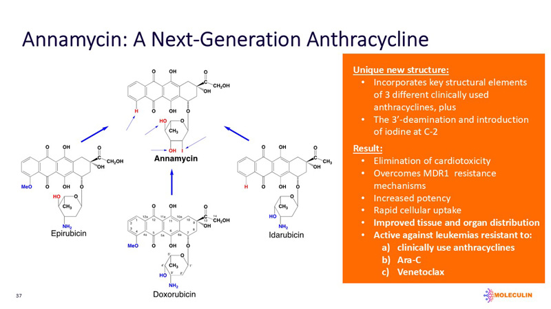 slide37.jpg