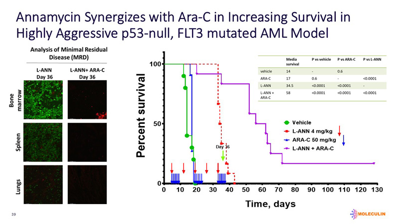 slide39.jpg