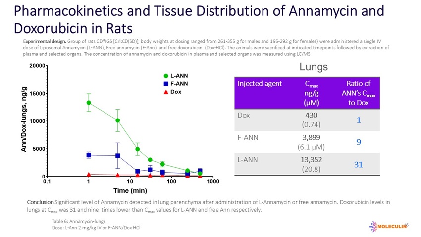 slide16.jpg