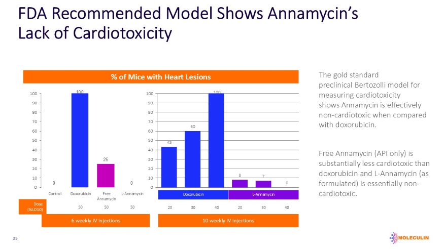 slide35.jpg