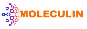 logobig.jpg