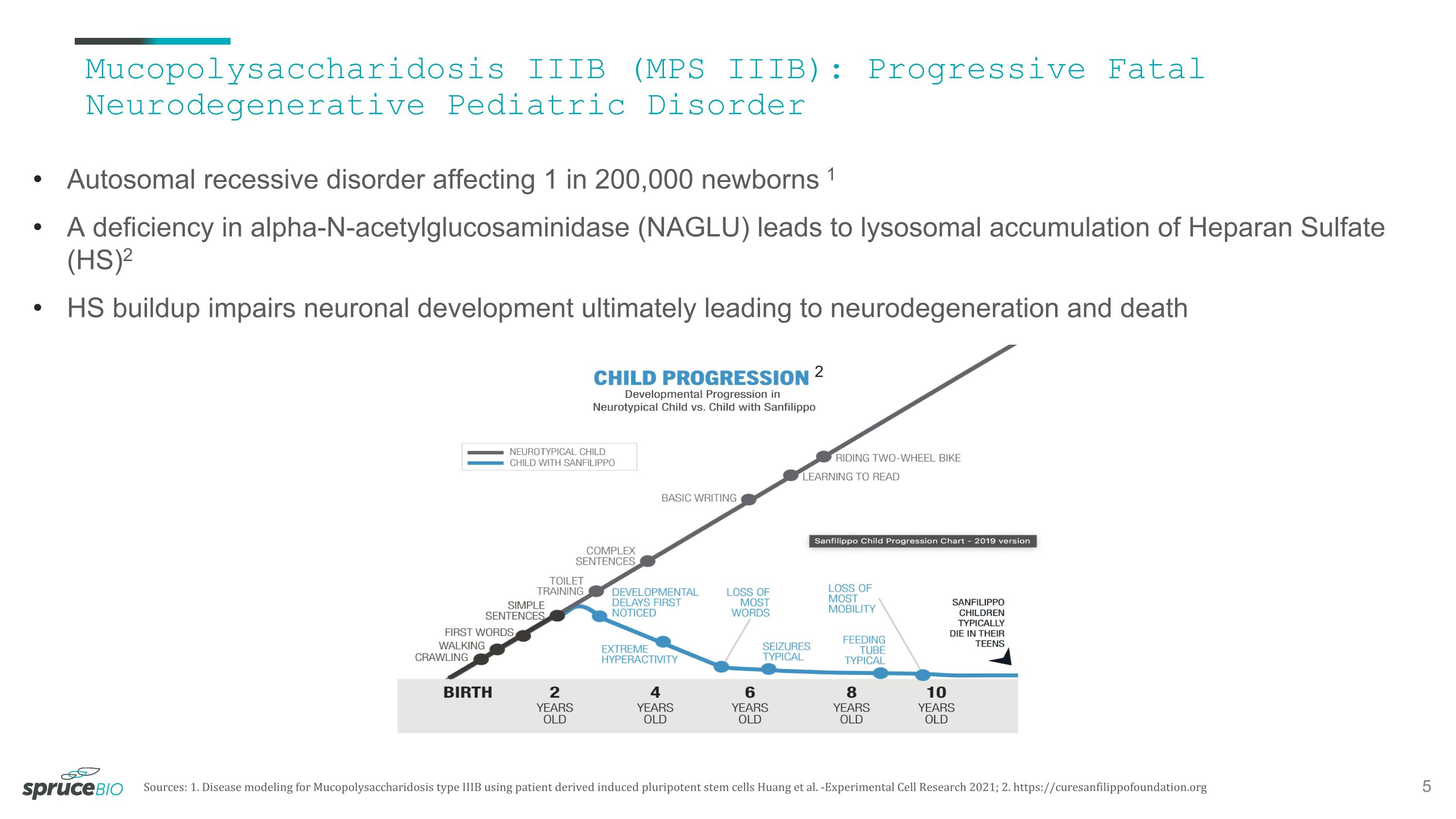 Slide 5