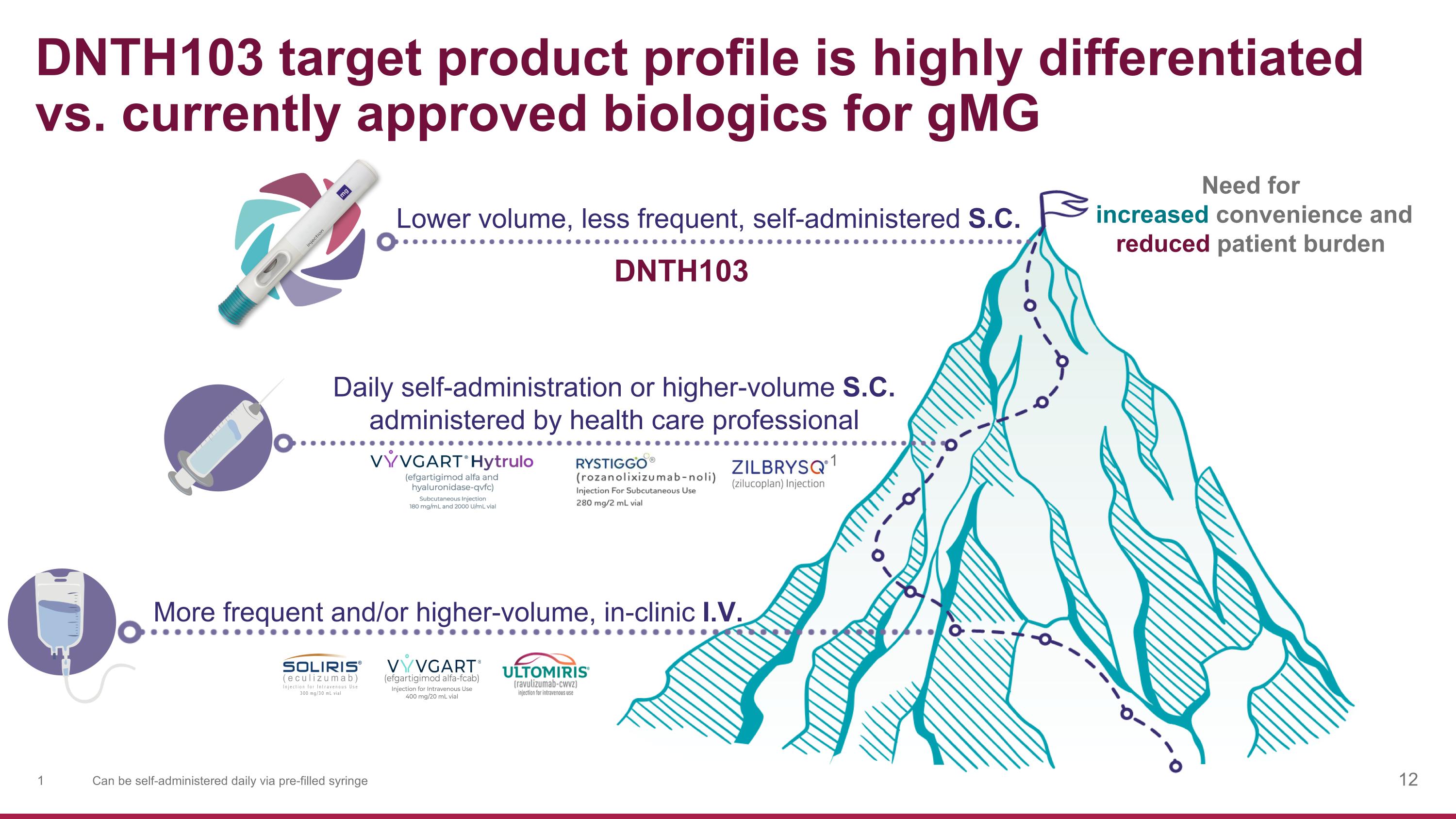 Slide 12