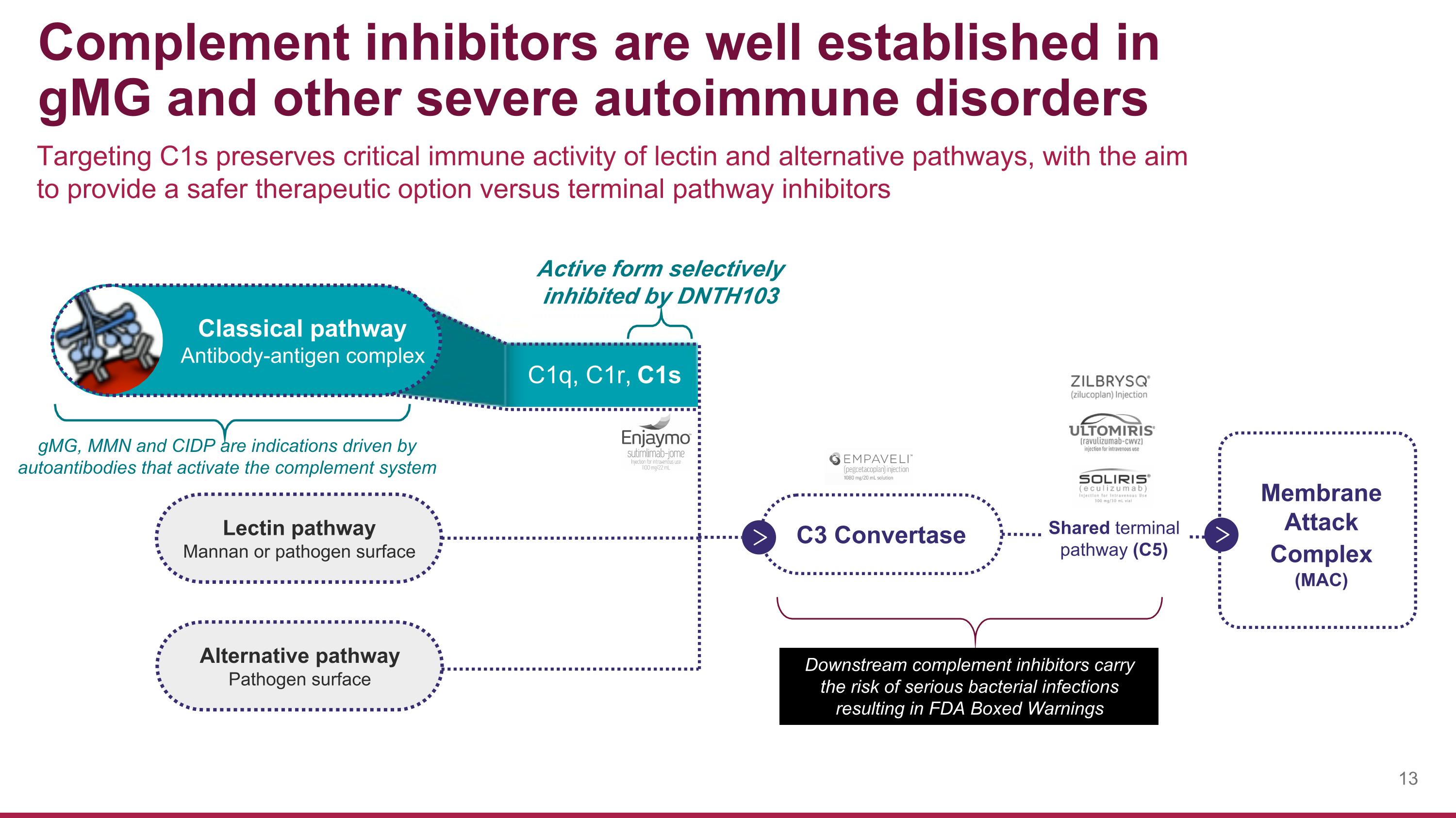 Slide 13