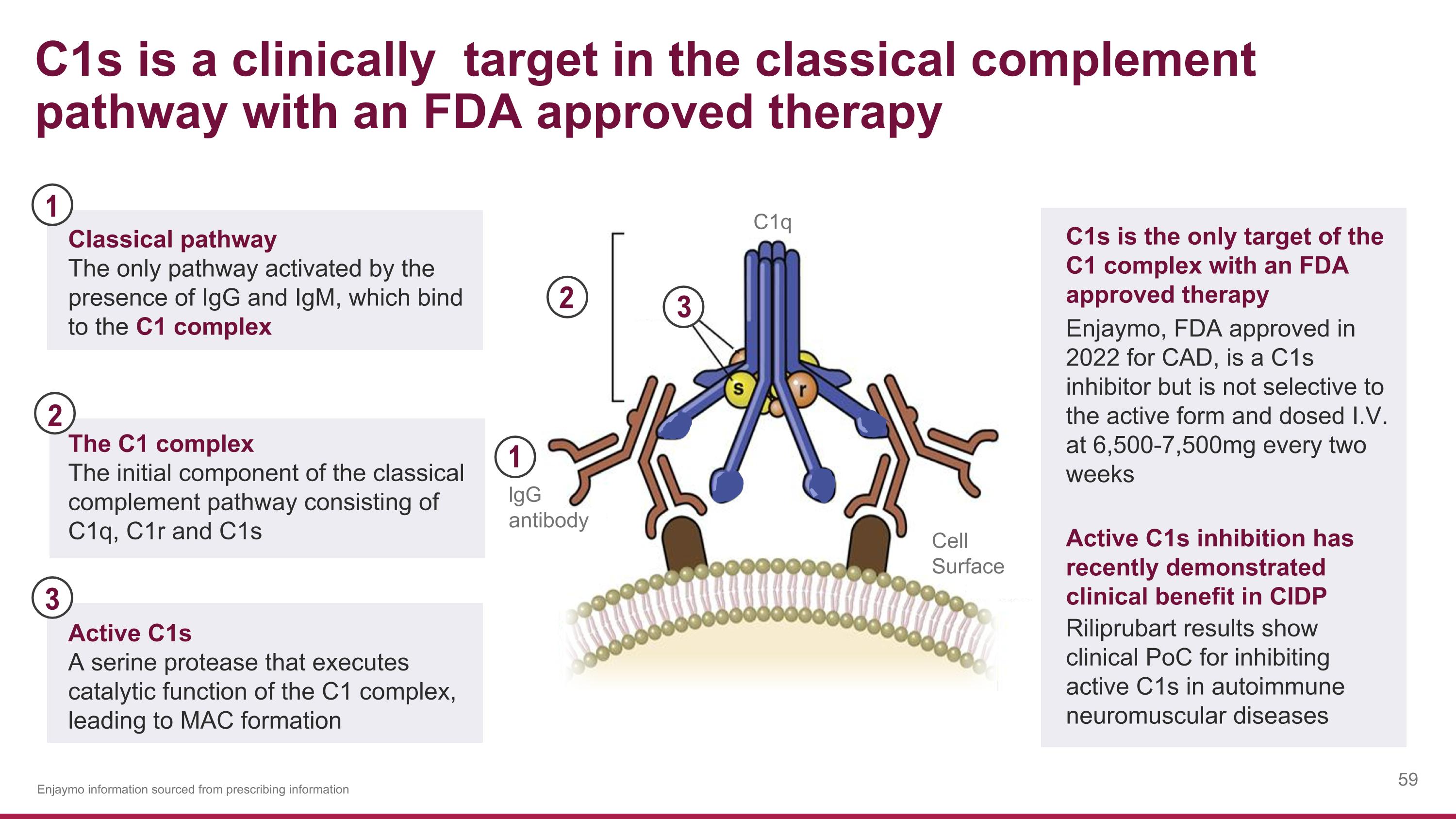 Slide 59