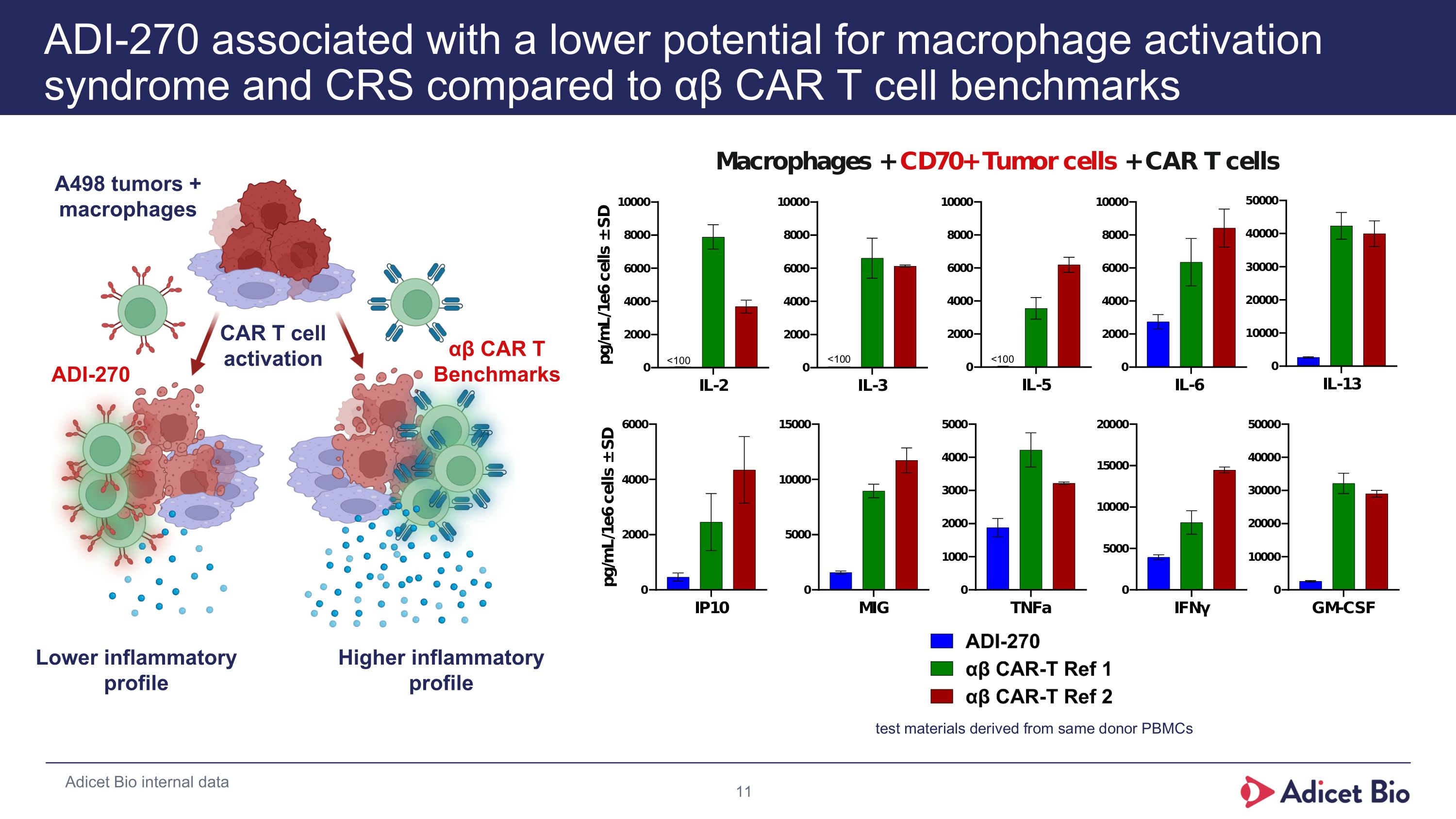 Slide 11