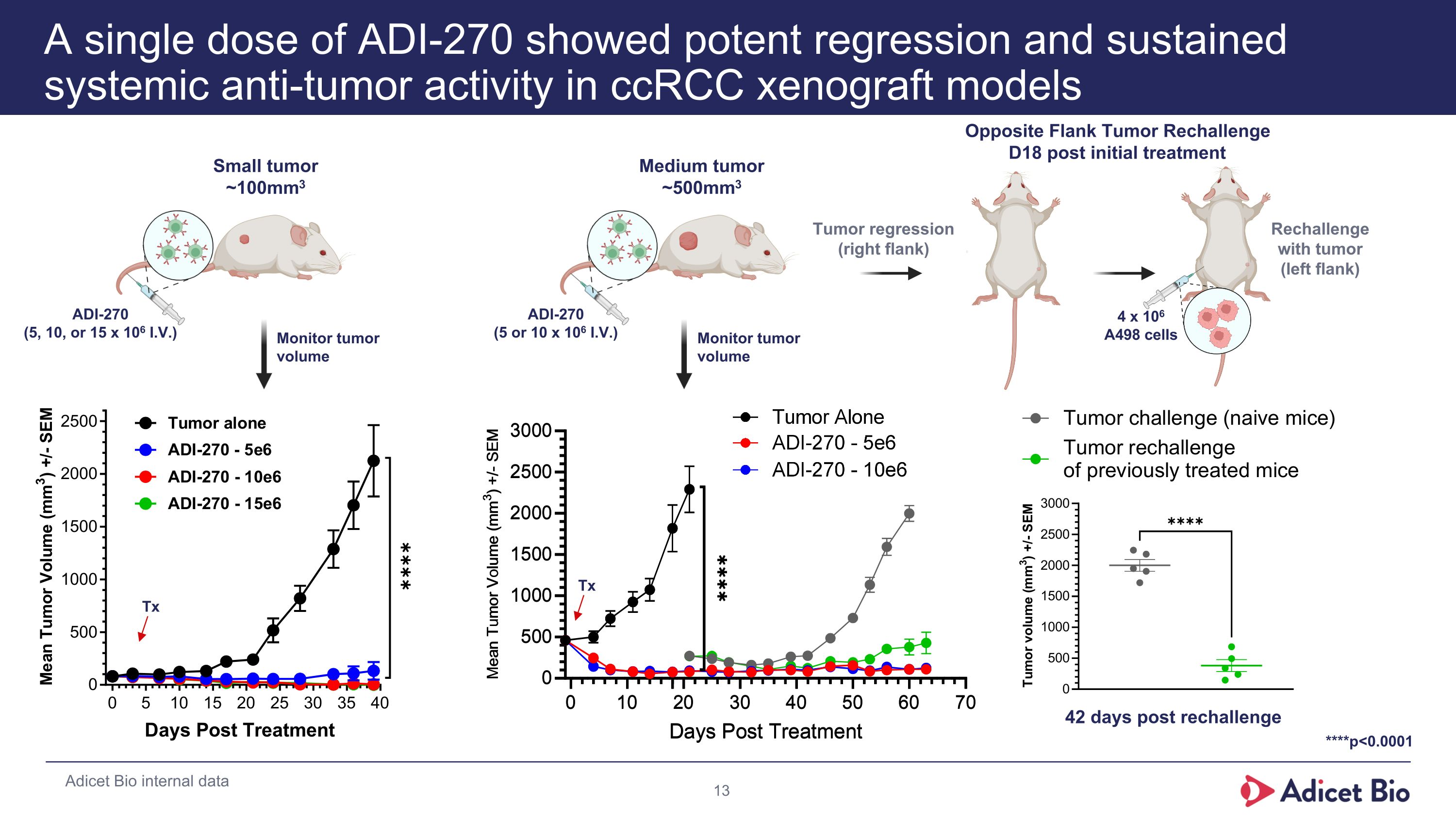 Slide 13