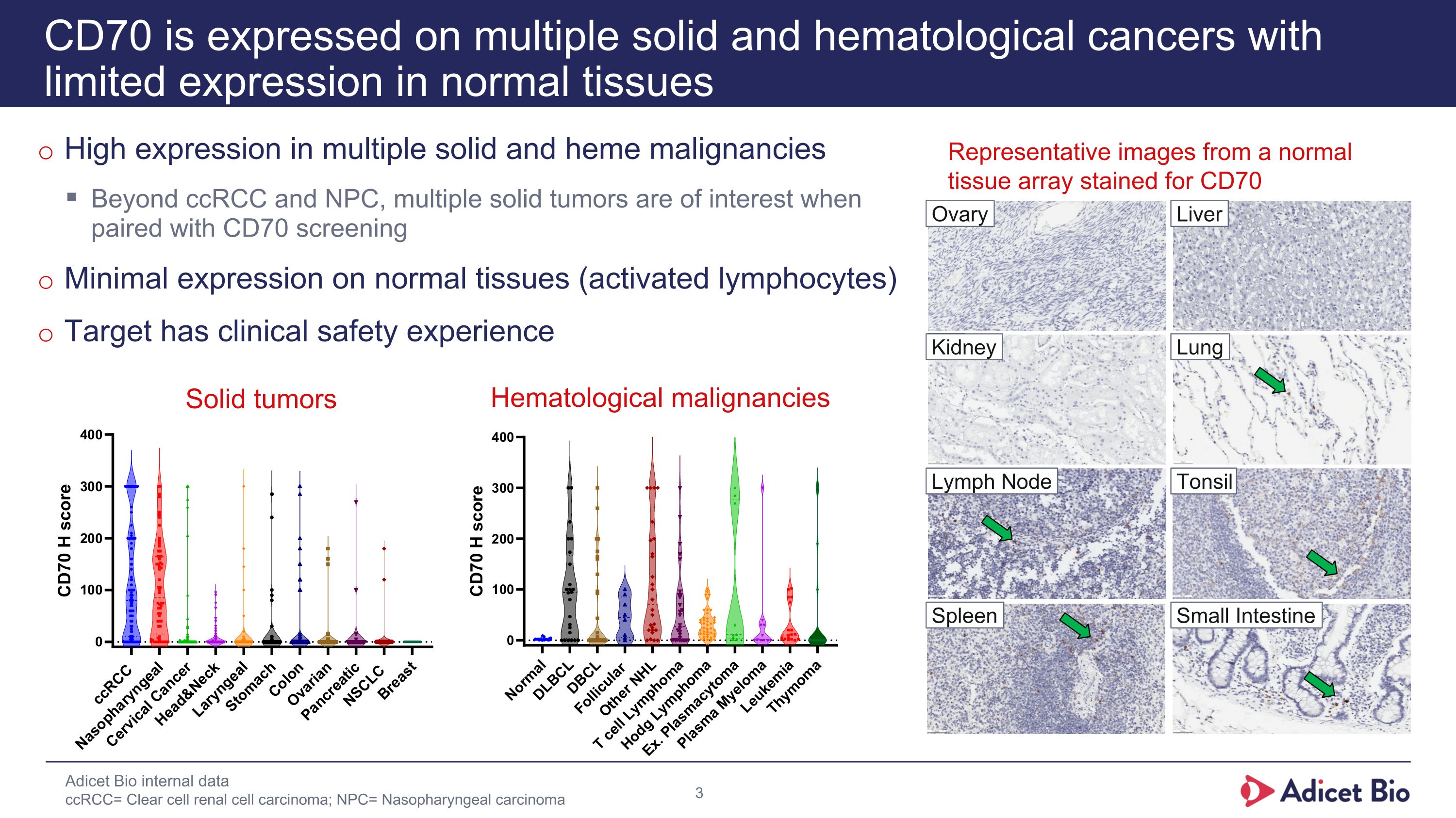 Slide 3