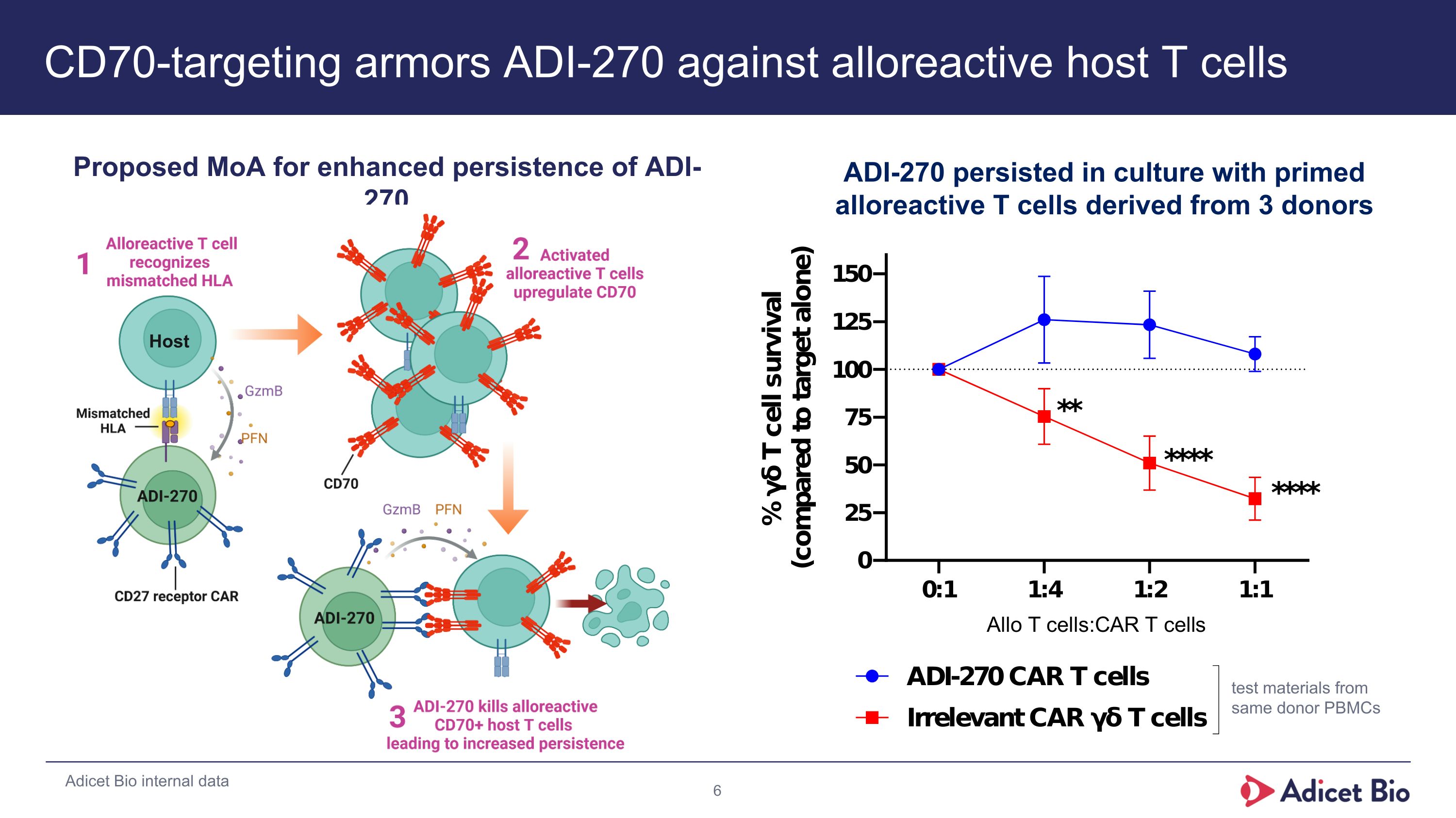 Slide 6