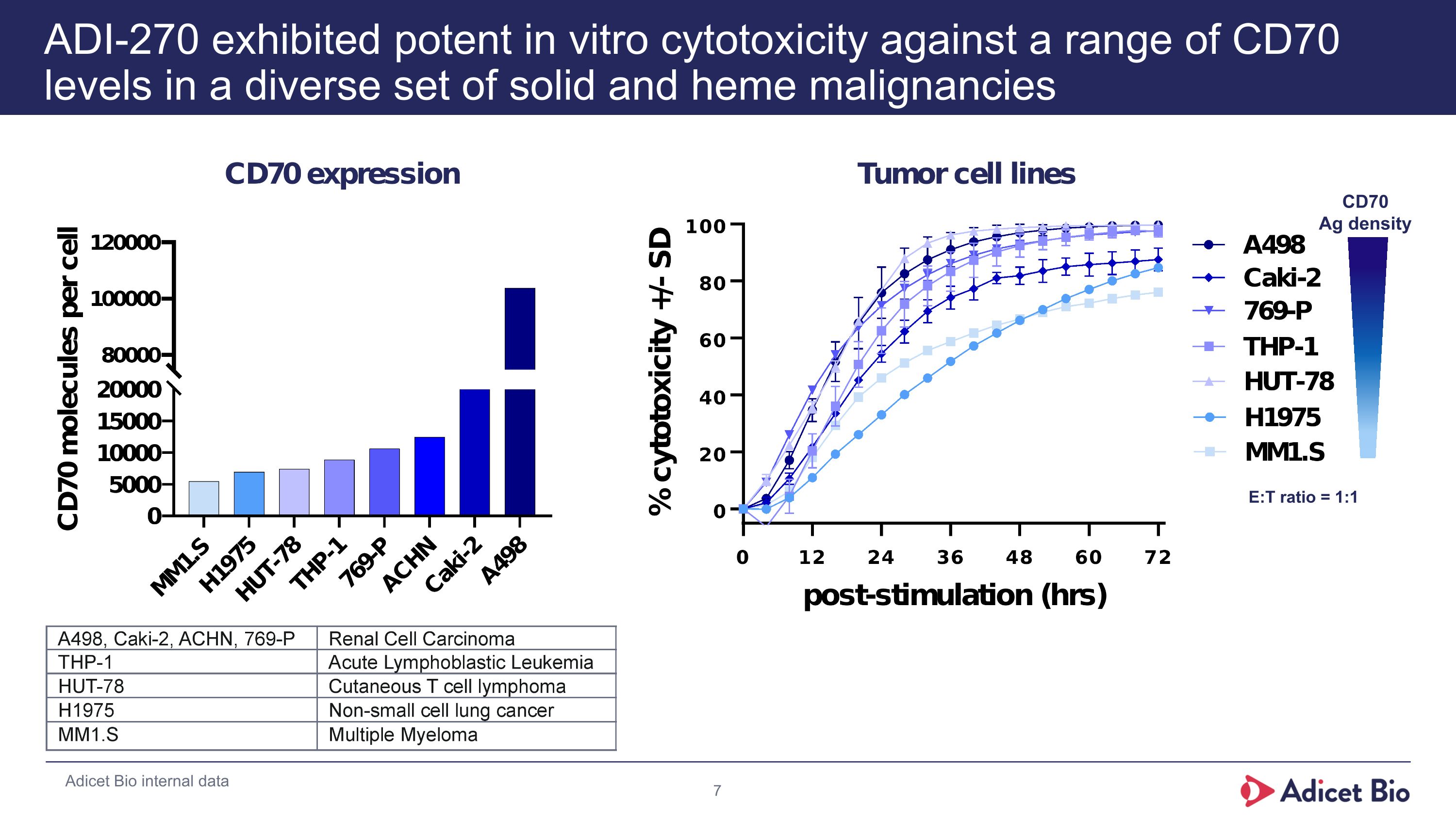 Slide 7