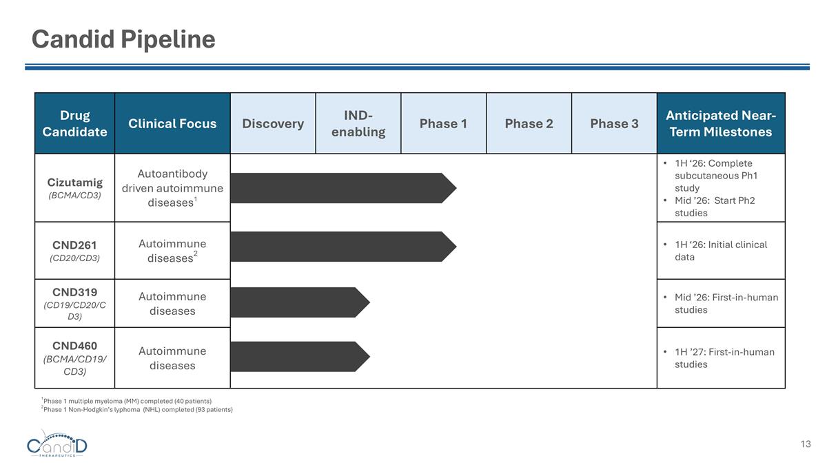 Slide 13
