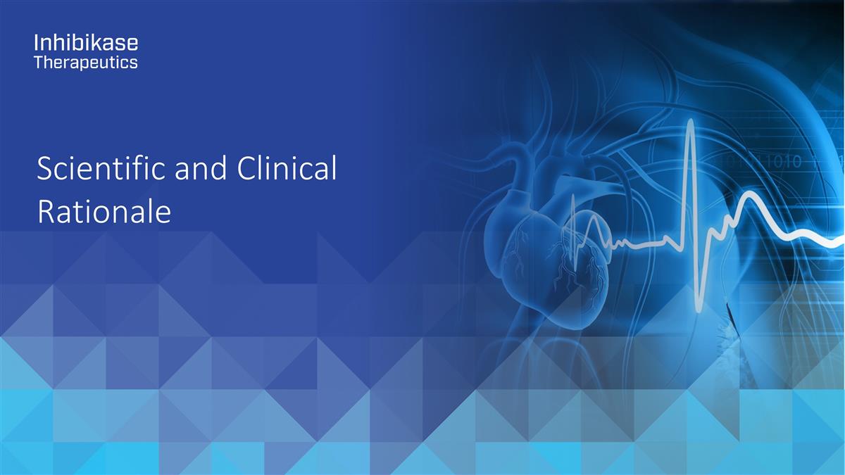 Slide 11