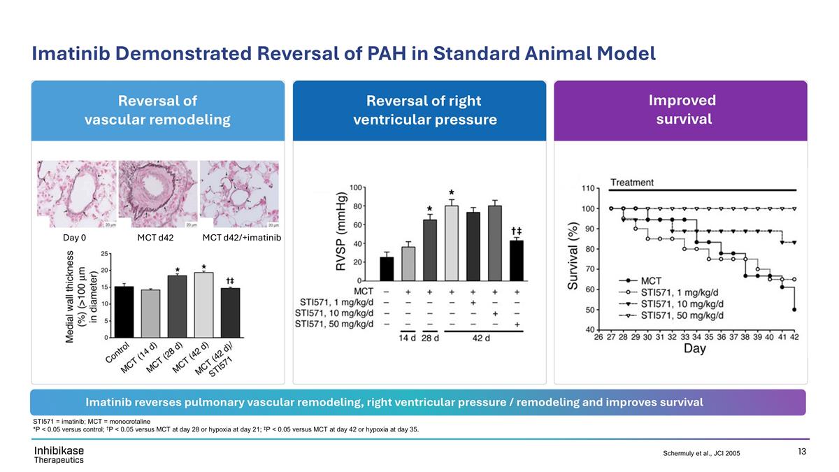 Slide 13