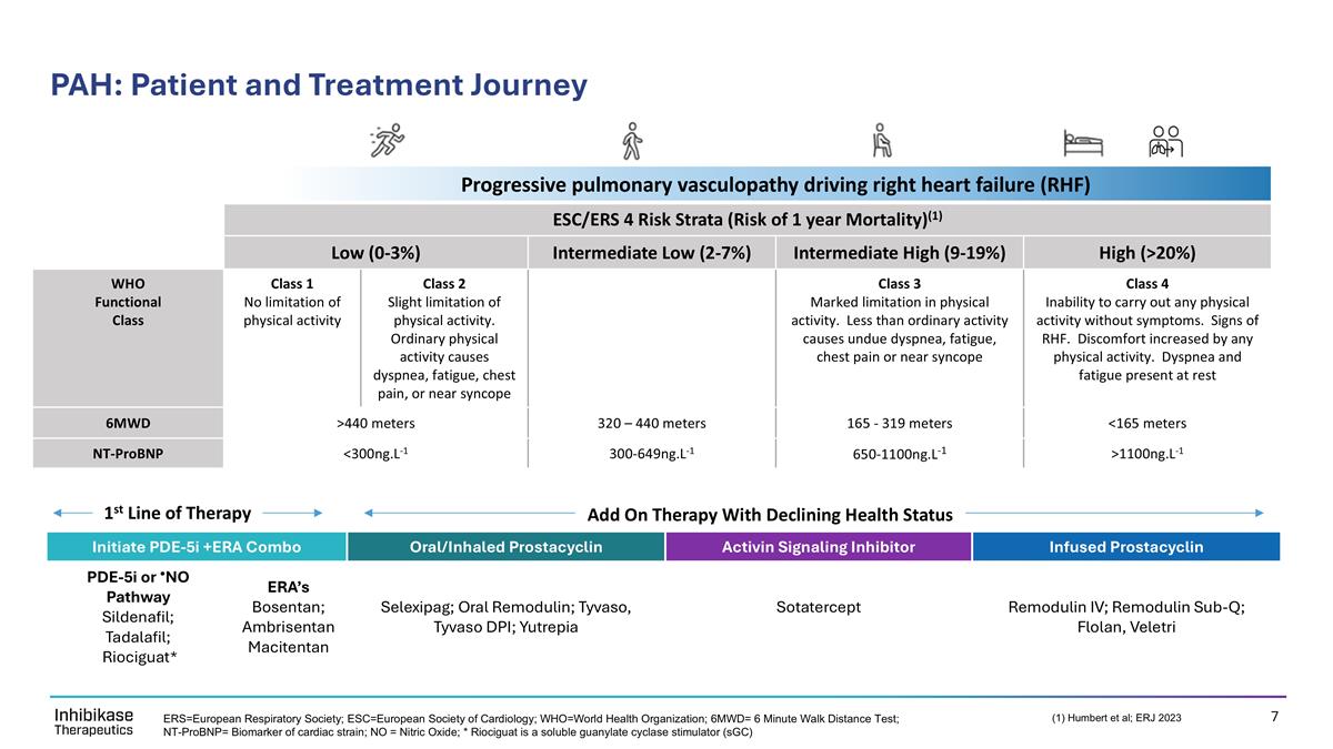 Slide 7