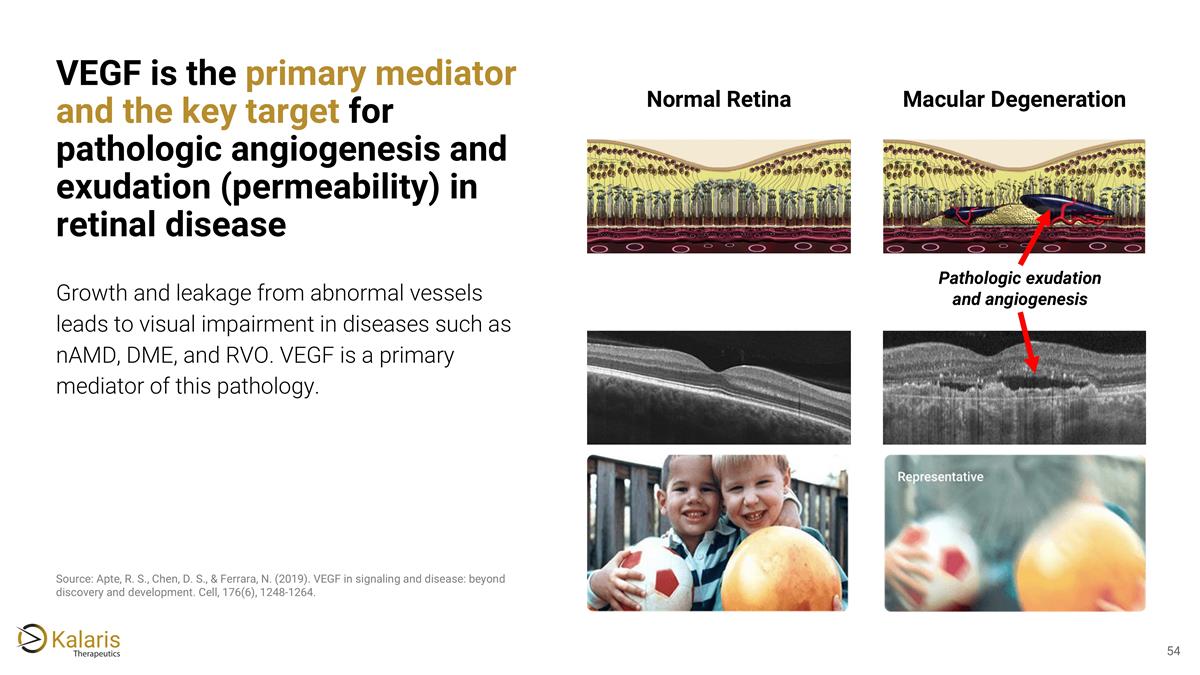 Slide 54