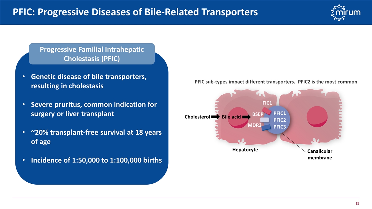 Slide 15