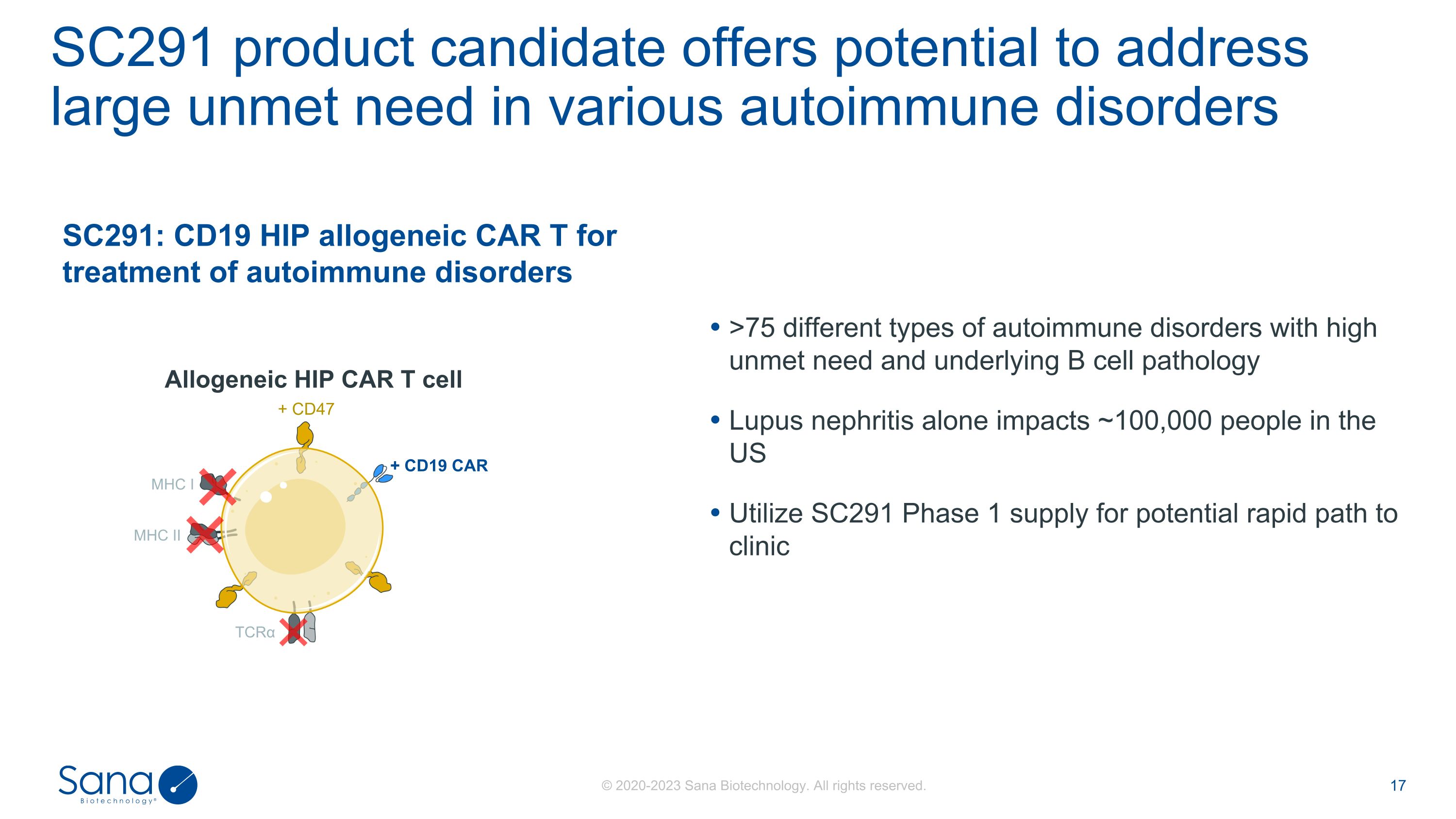 Slide 17