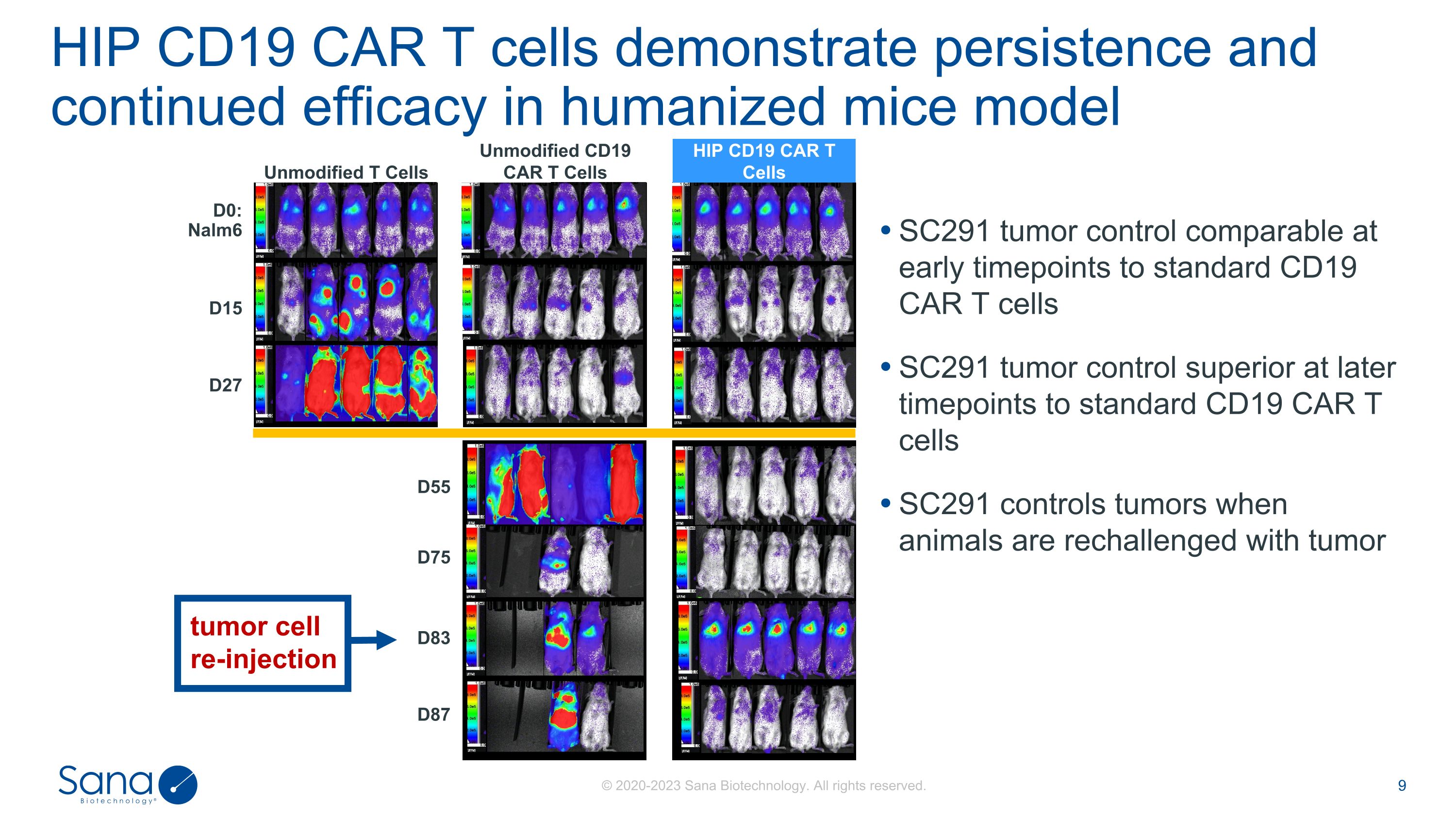 Slide 9