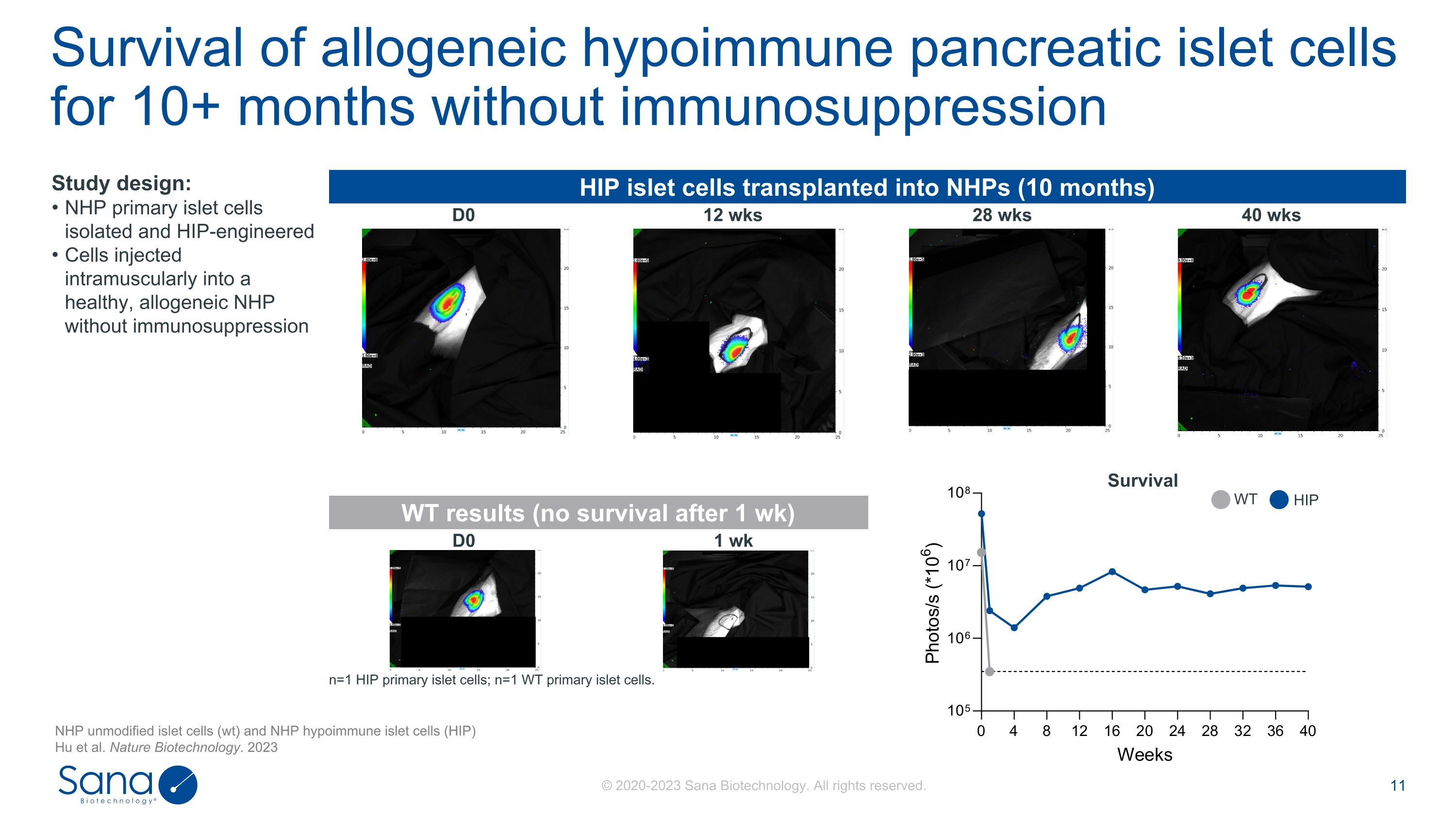 Slide 11
