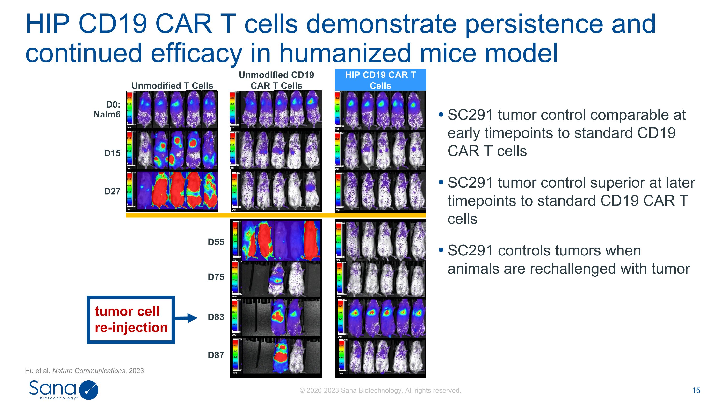Slide 15