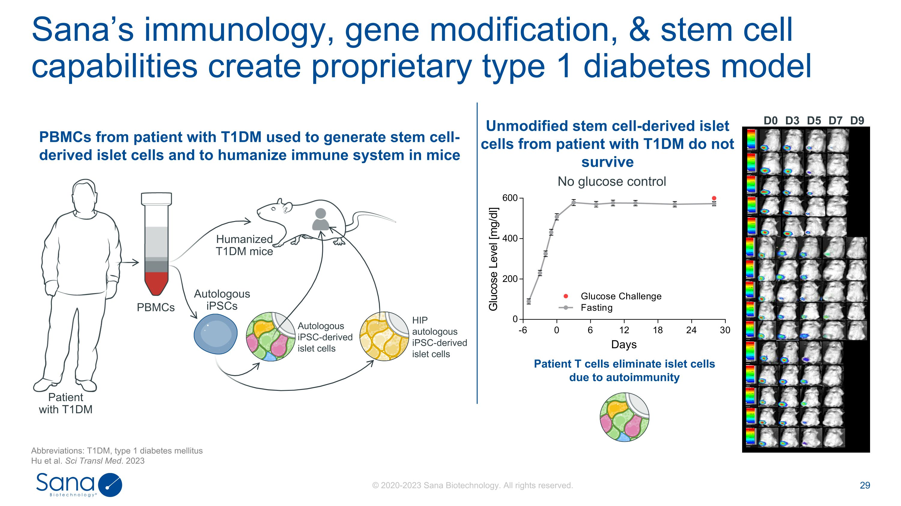 Slide 29